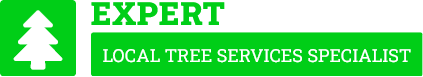 Lower Hutt Tree Services - Tree Removal Lower Hutt